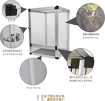 スクリーンテラリウム　2個セット 全商品 | ジェックス株式会社